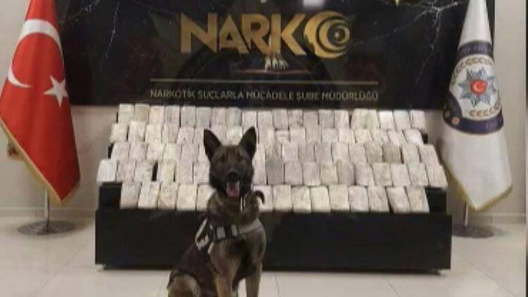 bir haftada 300 kilo uyuşturucu!