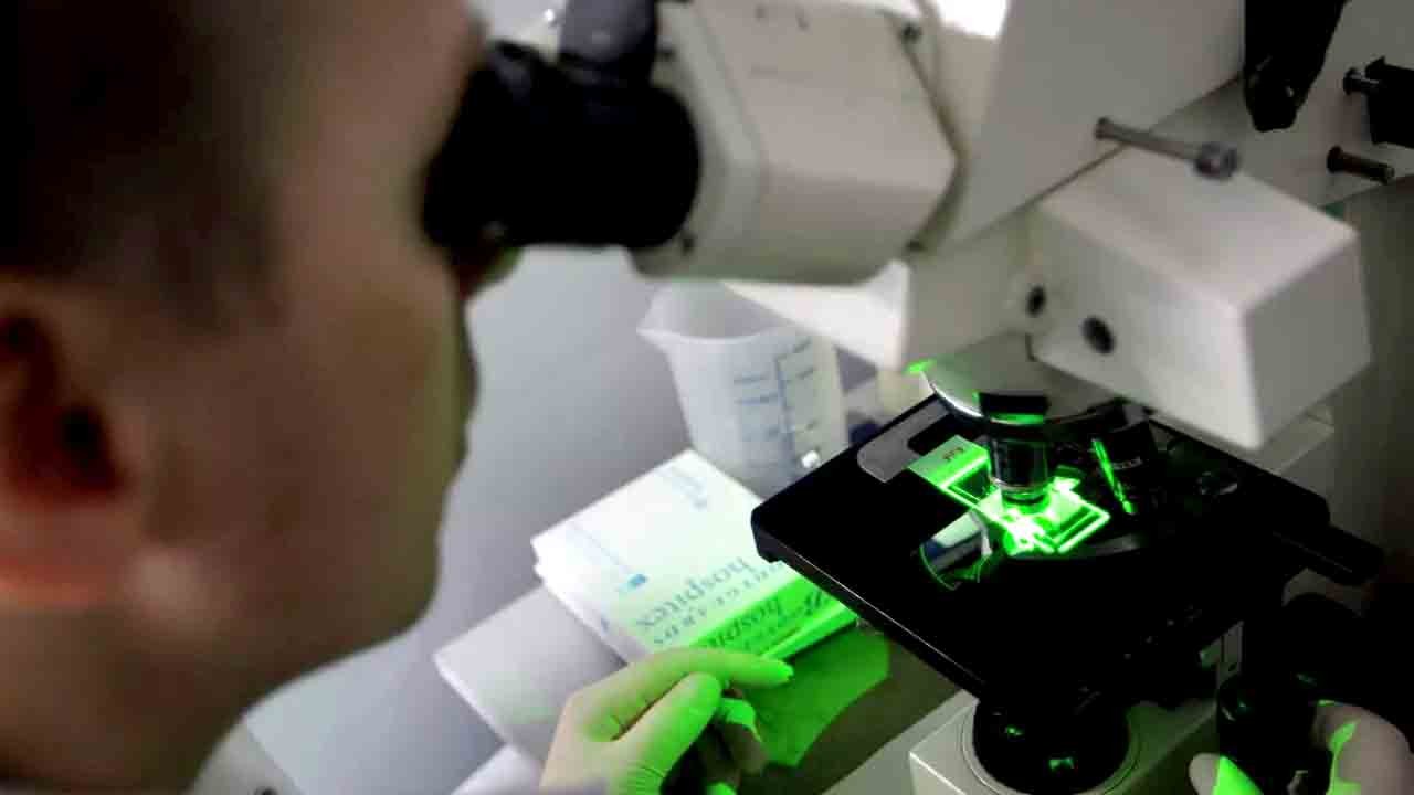 Bir hastalık daha siliniyor: Gine kurdunda son 10 vaka