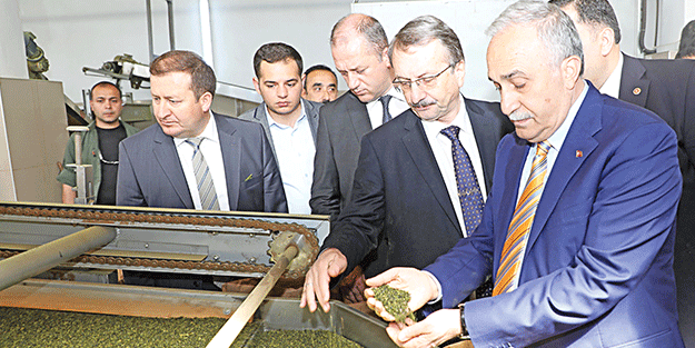 “Bir hekim olarak Türk çayını öneriyorum”