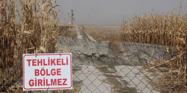 Bir ilçe diken üstünde! Sayıları her geçen gün artıyor