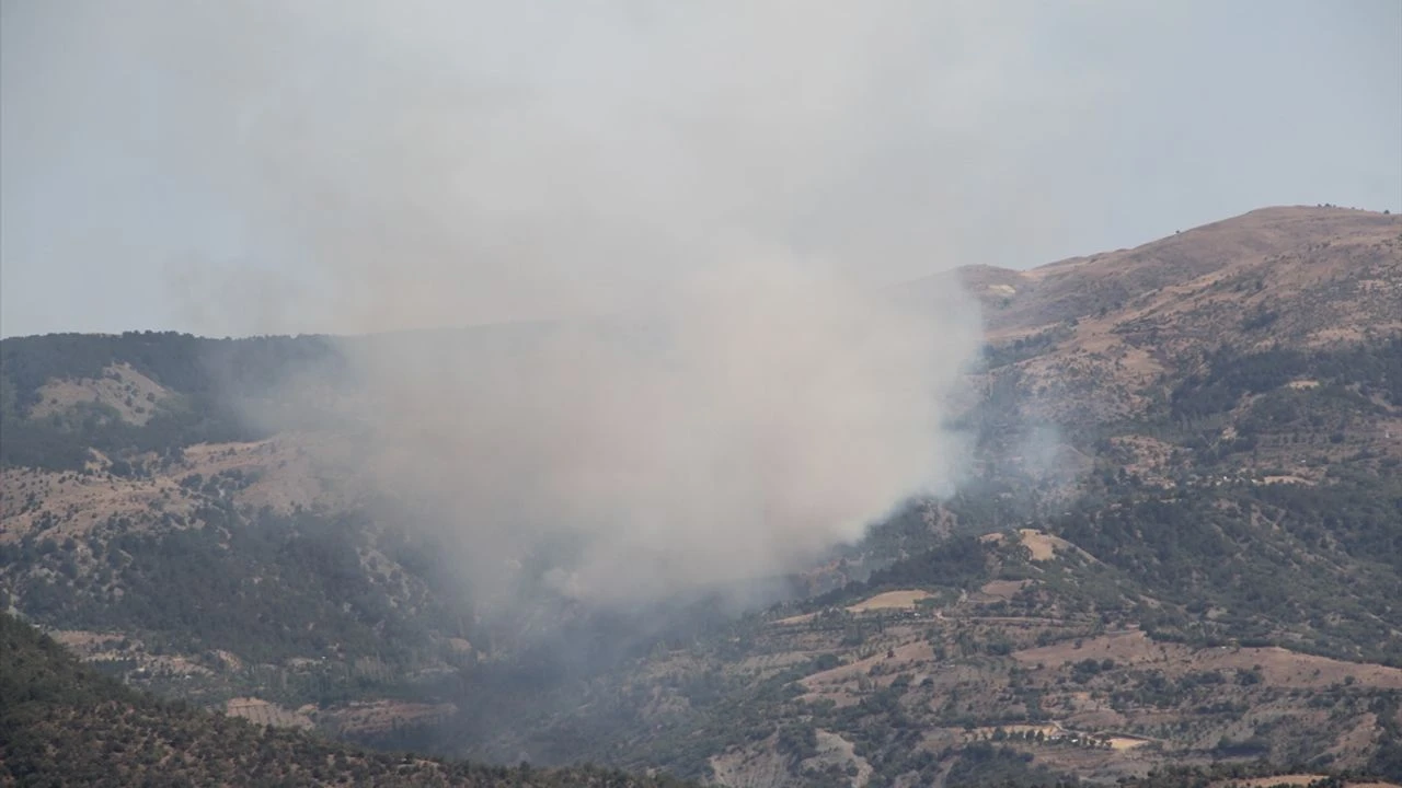 Bir İlde daha ormanlık alanda yangın çıktı