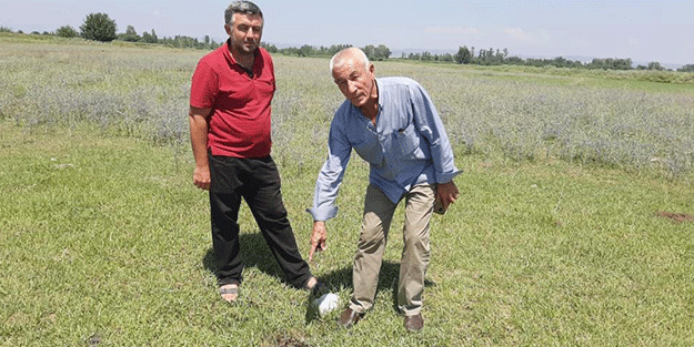 Bir ilden daha Türkiye'yi ayağa kaldıracak petrol çıkışı! Yetkililere seslendi: Burada petrol var, gelip bakılsın