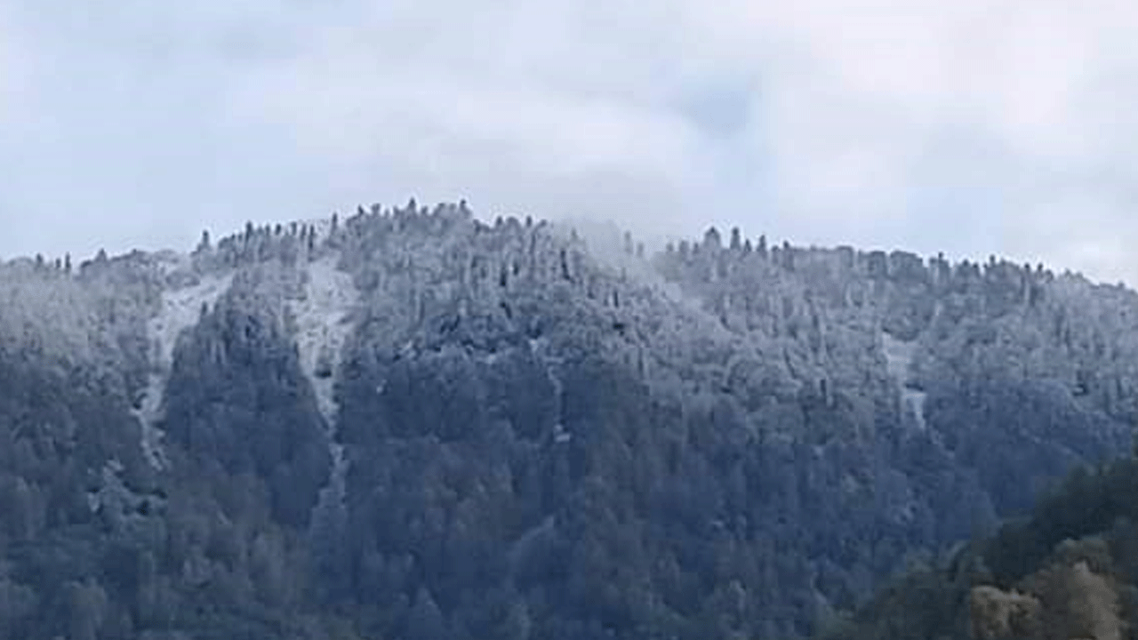 Bir ile 2024'ün ilk karı düştü