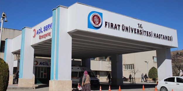 Bir ilginç olay: Eşek çocuğun kafasını ısırdı