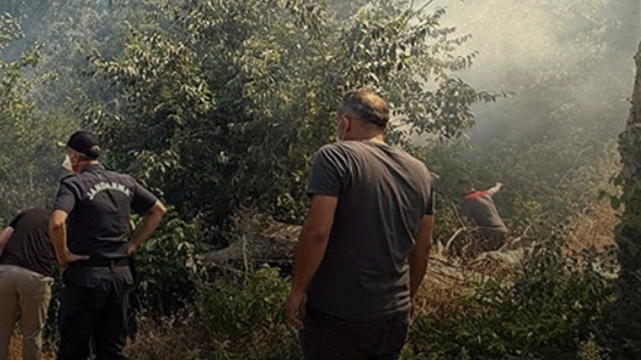 Bir ilimizde daha orman yangını! Bütün mahalle boşaltıldı!