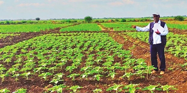 Bir ilk yaşandı! Afrika'dan Türkiye'ye getirilecek