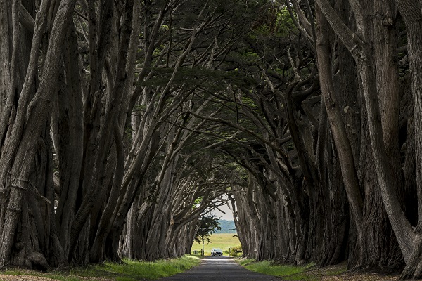 Bir kare için dört bir yandan geliyorlar