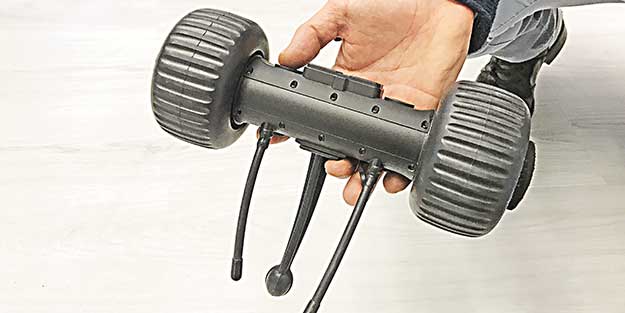 Bir karış boyuyla gözcülük yapacak