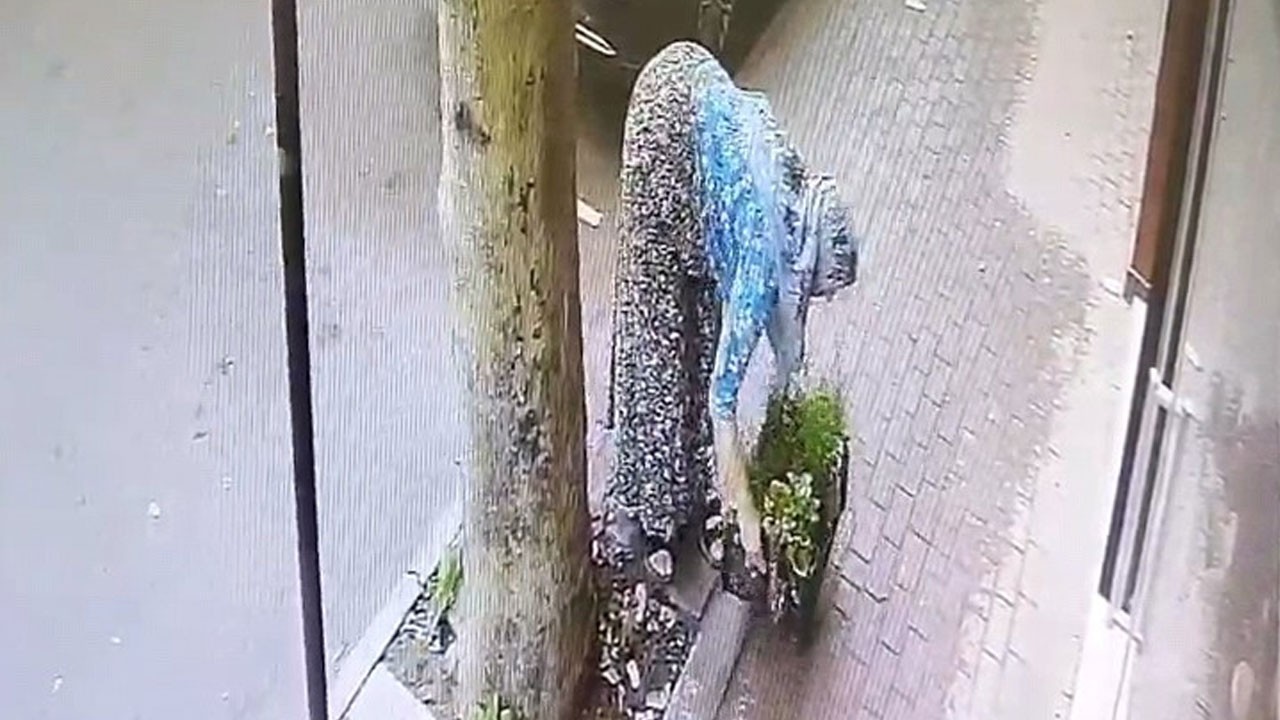 Bir kasa çiçeği bakın nasıl çaldı