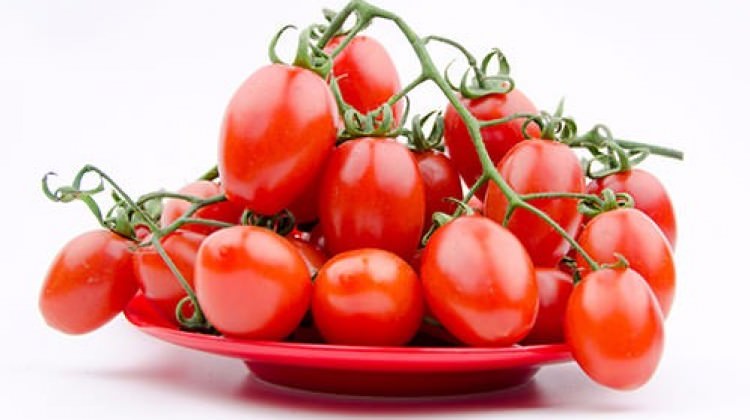 Bir kase çeri domates...