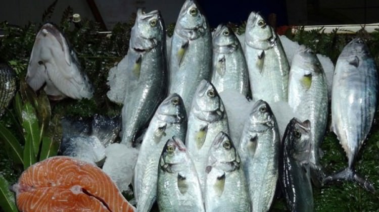 Bir kilosu, 5 kilogram kıyma fiyatına satılıyor
