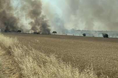 Bir kıvılcım, bir yılı yok etti: 300 dönümlük buğday kül oldu!