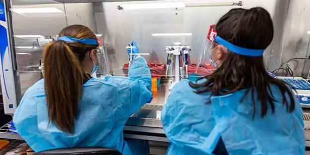 Bir köpekte maymun çiçeği hastalığı görüldü