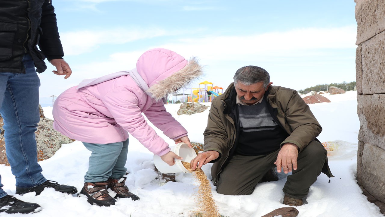 Bir kültür sessizce çöküyor: Güvercinlikler yalnız kaldı