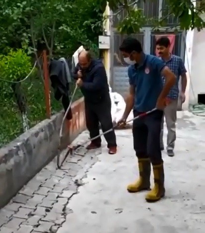 Bir mahallenin yılan seferberliği 