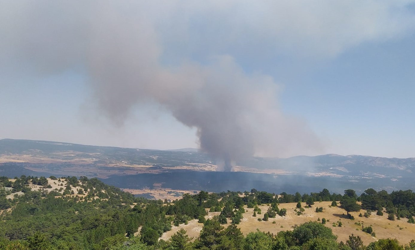 Bir orman yangını da Eskişehir'de