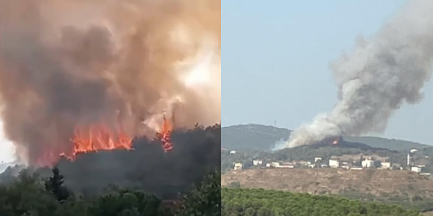 Bir orman yangını daha