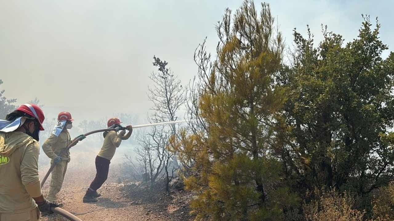Bir orman yangını daha! Havadan ve karadan müdahale ediliyor