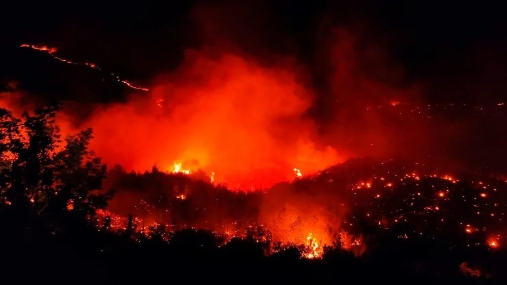 Bir orman yangını daha kontrol altına alındı