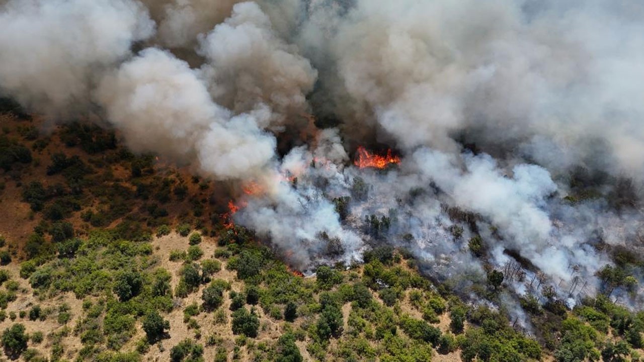 Bir orman yangını haberi daha!