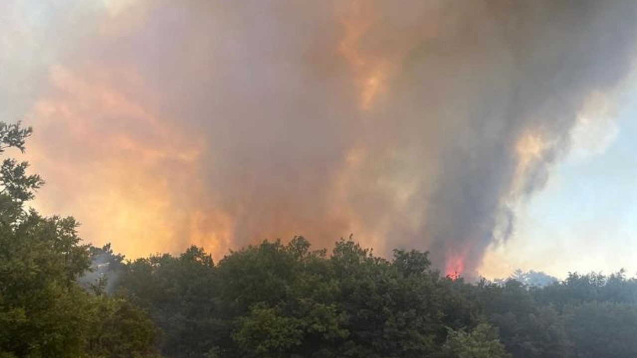 Bir orman yangını haberi de Seyitgazi'den geldi!