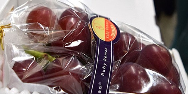 Bir salkım üzüm 32 bin TL'ye satıldı!