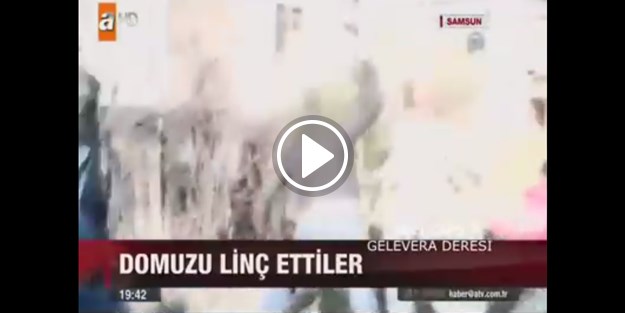 Bir şehrin anatomisi 'Samsun'