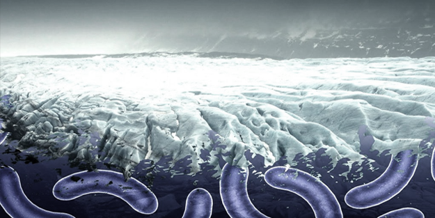 'Bir sonraki pandemiye sebep olacak virüs buzullardan gelebilir'