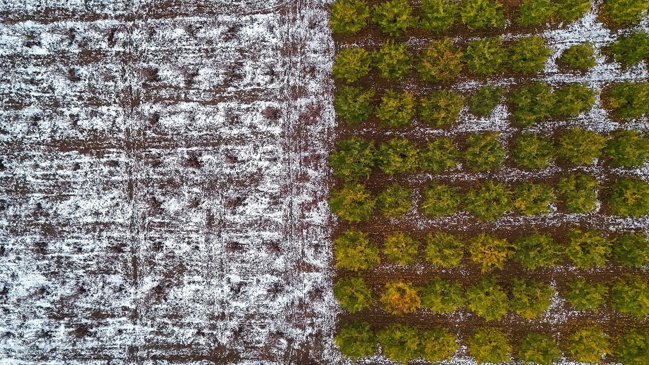 Bir taraf sonbahar bir taraf kış