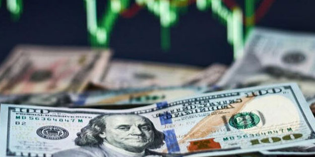 Bir tek hisse bir günde BİST100 kadar değerlendi