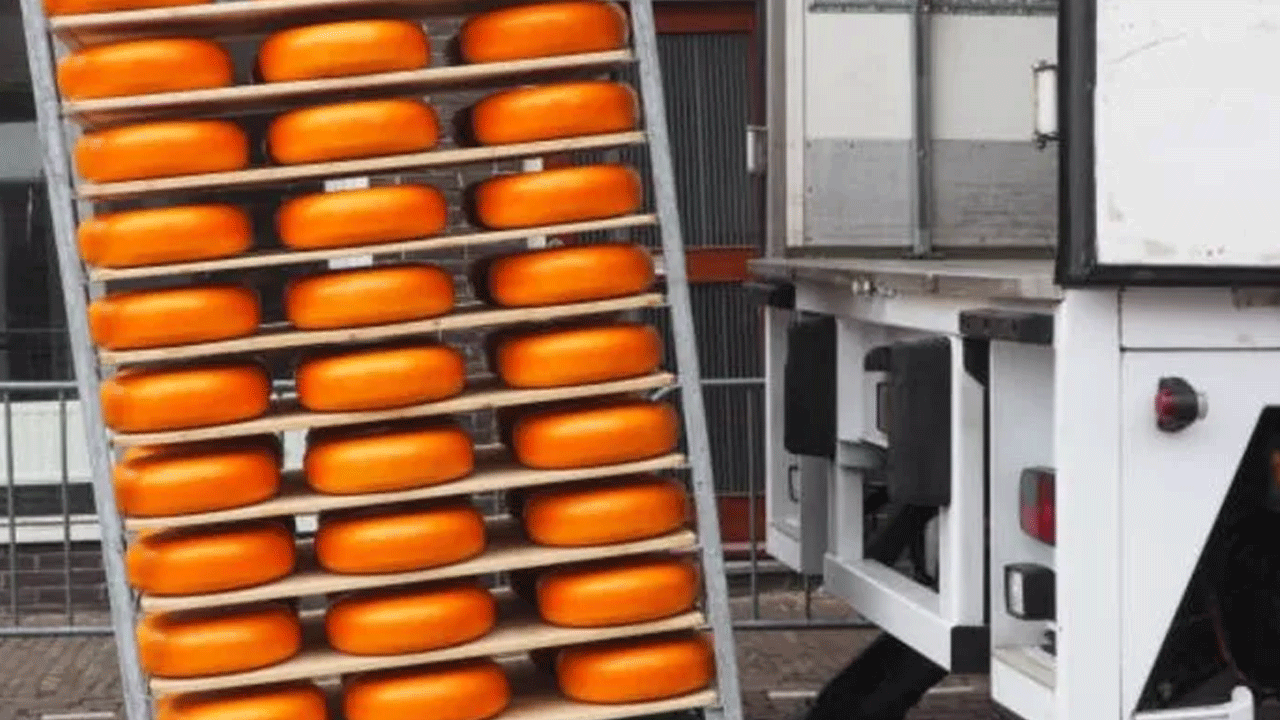 Bir tır dolusu peynir kayboldu! Hırsızlar nasıl yakalanamadı?