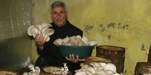 Bir torba ve bir kütükle başladı... Şimdi siparişlere yetişemiyor