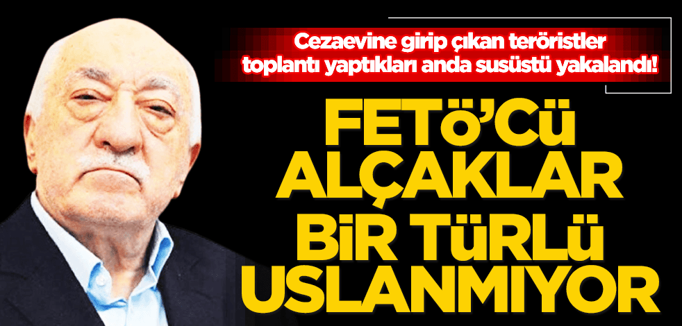 Bir türlü uslanmıyorlar! Cezaevine girip çıkan FETÖ’cü alçaklar yine suçüstü yakalandılar