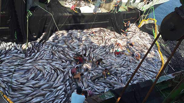 Tüm ülke onları konuşuyor! 2 tekneyle gittiler...