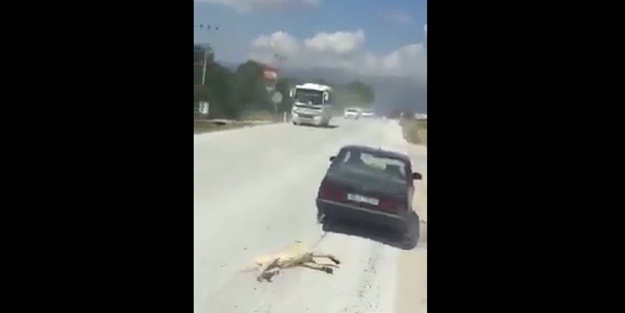 Bir vahşet vakası daha! Köpeği arabanın arkasına bağlayıp sürükledi