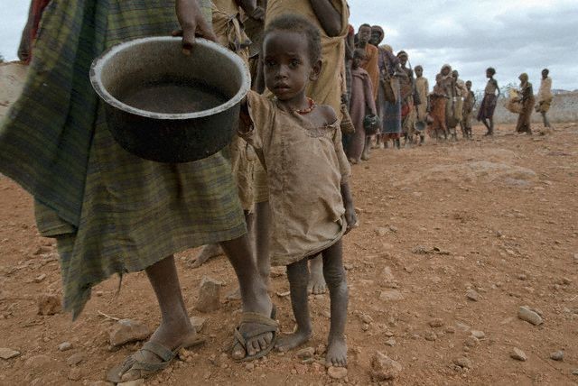 Bir yanda açlık bir yanda kedilerde obezite