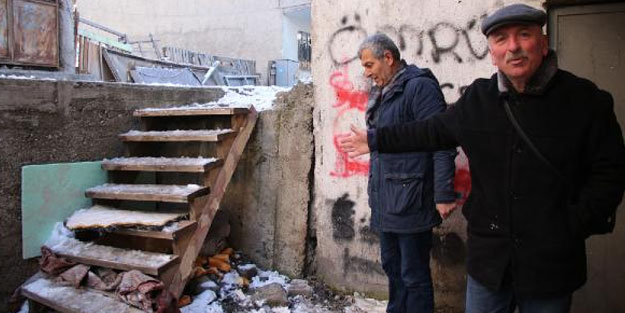 Bir yavrusu donan köpek, diğer yavrularının yanından ayrılmıyor