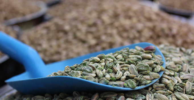 Bir yılda ikiye katlanmıştı! Fiyatı iniyor