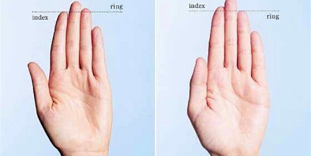 Birbirinden ilginç bilimsel araştıma sonuçları