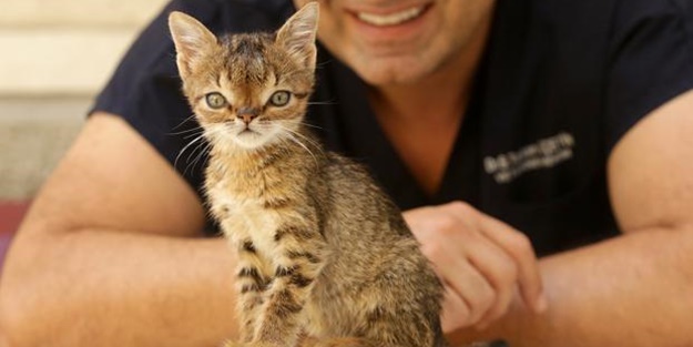 Birbirinden sevimli Down Sendromlu hayvanlar