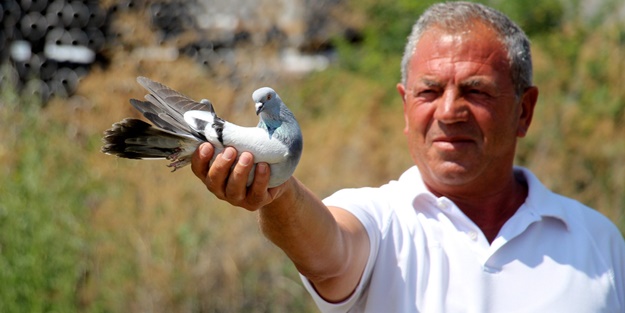 Birçok aile geçimini bundan sağlıyor! Tanesi 50 bin lira