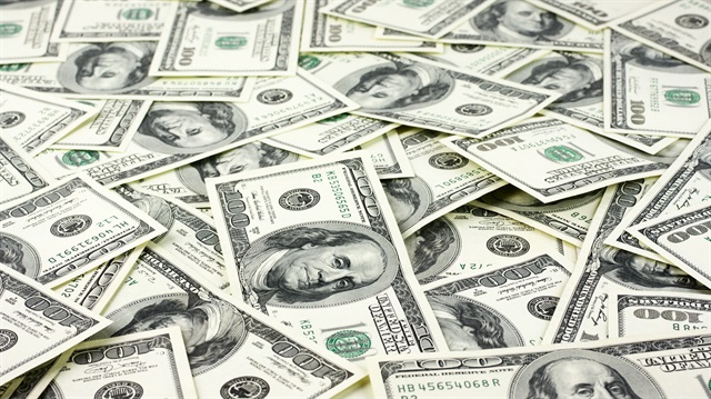 'Birçok para birimi dolar karşısında değer kaybetti'