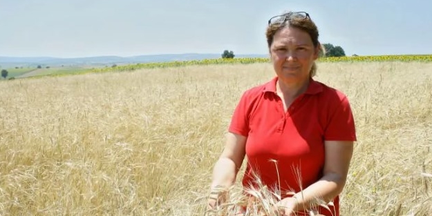 Birçok ülke bu tahılı stokluyor! Türkiye'de üretiliyor