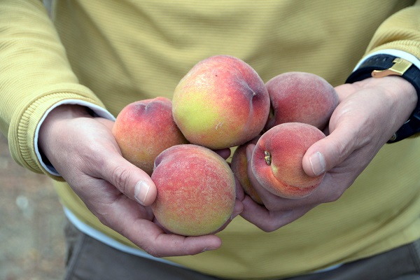 Birçok ülkeye gönderiliyor! Kilosu cep yakıyor