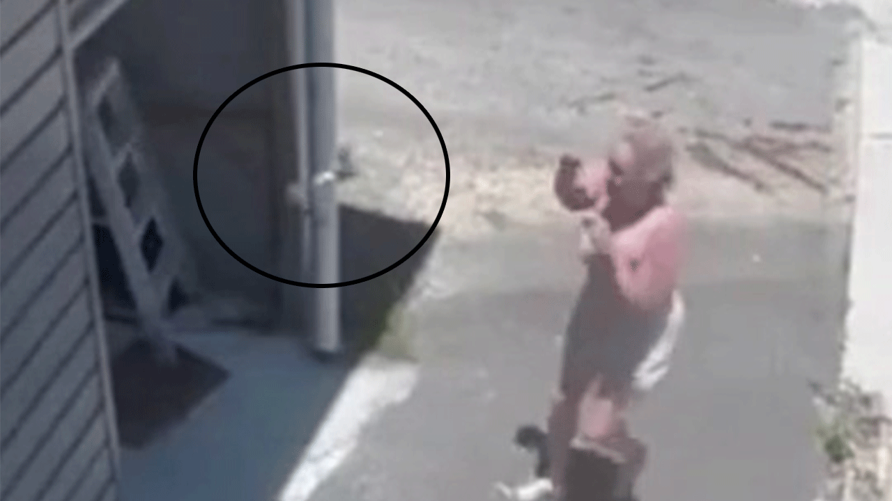 Birden üzerine atladı! Garaj kapısını açan kadına büyük şok!