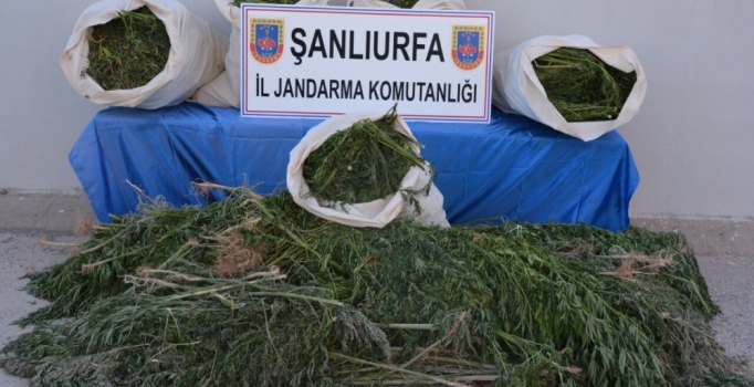 Birecik’te uyuşturucu operasyonu: 4 kişi gözaltında