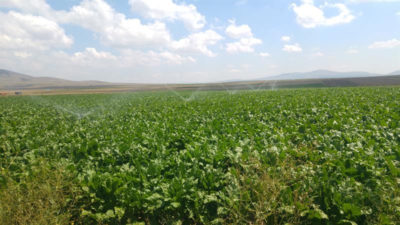 Bireysel sulama sistemlerine yüzde 50 hibe desteği 