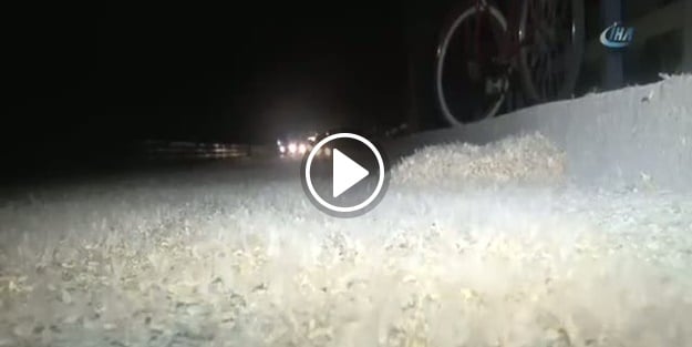 Birgün sineklerinin ’ölüm dansı’ başladı