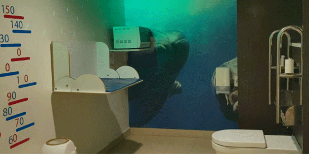 Birileri hala 'ekonomik kriz' deyip dursun! Sonunda VIP tuvalet de çıktı