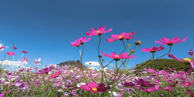 Birinci cemre ne zaman düşecek?